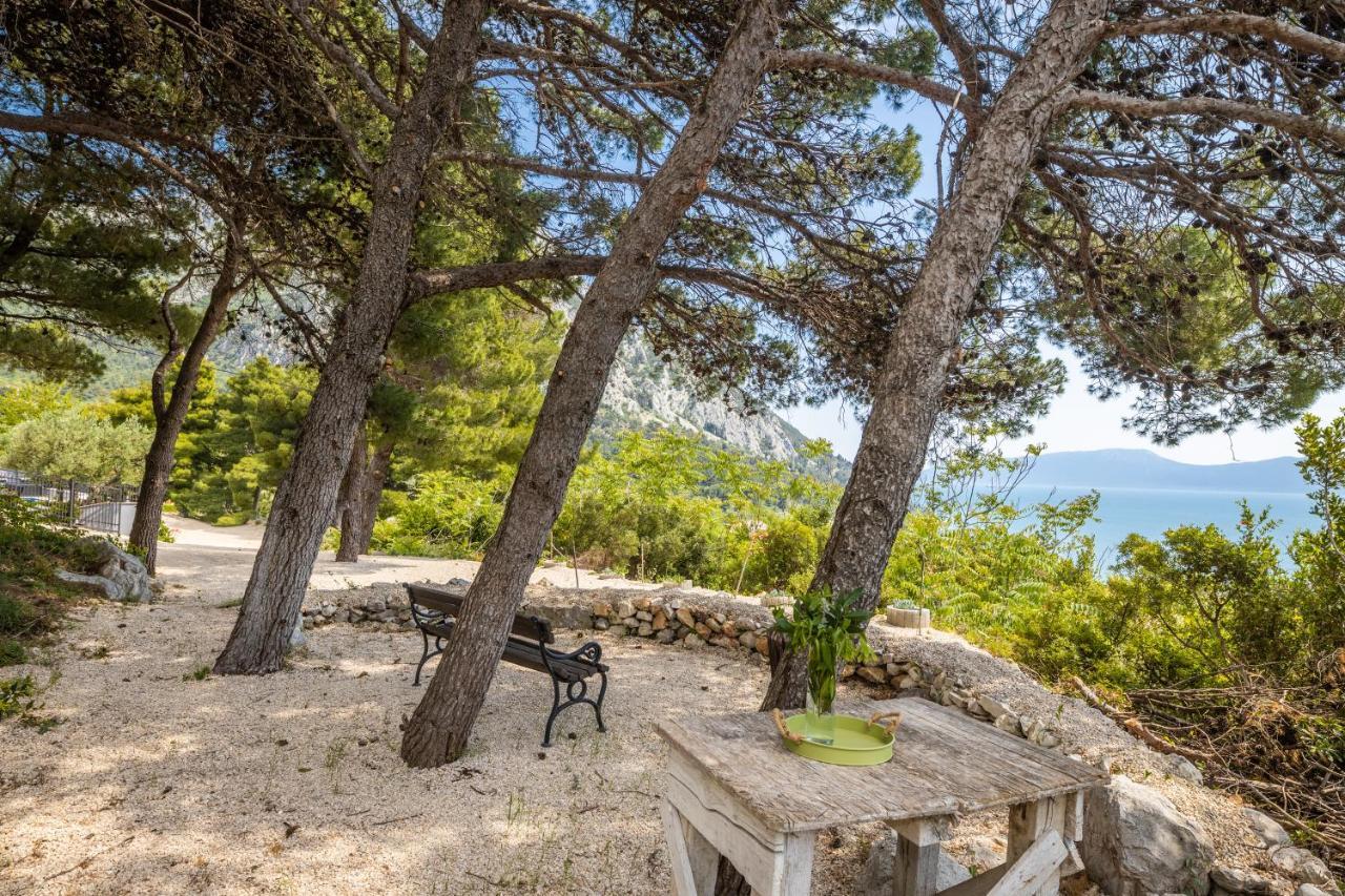 Villa Unique Gradac  Zewnętrze zdjęcie