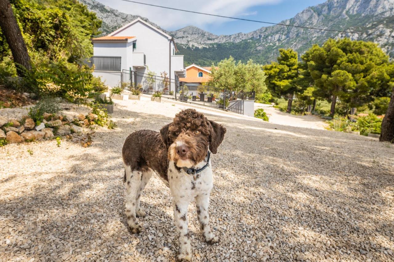 Villa Unique Gradac  Zewnętrze zdjęcie